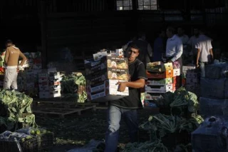 روسیه میوه و سبزیجات از فلسطین وارد می کند