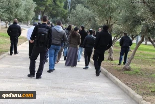 Dozens of Jewish settlers break into Aqsa Mosque