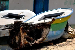 2014 toughest year for Gaza fishermen