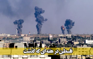 فلسطین در هفته اول خرداد ماه 94