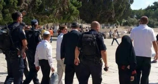 مستوطنون یقتحمون باحات المسجد الأقصی من باب المغاربة