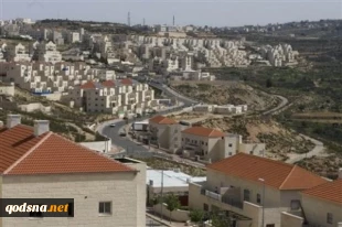 عدد المستوطنین بسلفیت یتجاوز الفلسطینیین