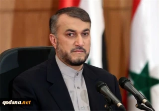 هذه الخطوة ستبب فراغا سياسيا في لبنان؛

امير عبداللهيان: استقالة الحريري تصب في مصلحة الكيان الصهيوني