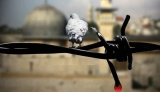 صهیونیستها از پاشنه آشیل درون اراضی اشغالی غافل شده اند؛

فلسطینیان 1948سلاحی حقیقی علیه موجودیت اسرائیل/انتقال رویکرد مبارزه از نسلی به نسل دیگر