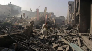 Israel whitewashing deadly 2014 attack on Gaza: Rights group