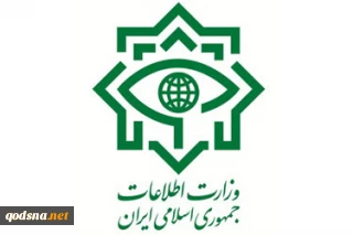 دستگیری 25 نفر از عوامل اخلال در نظام ارزی توسط وزارت اطلاعات