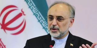 صالحی در گفتگوی ویژه خبری:

 قادریم سانتریفیوژهای IR4 و IR2M را تولید انبوه کنیم/گام های بلند در طراحی سوخت بوشهر