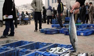 اقتصاد فلسطین مبتنی بر کدام کالاهاست؟