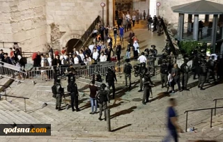 الهلال الأحمر الفلسطيني:

إصابة 19 مواطنًا بجروح مختلفة جراء إطلاق قنابل الغاز الخانق نحوهم