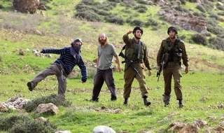 Zionist troops, settlers carried out 1,593 attacks on Palestinians in the West Bank in January