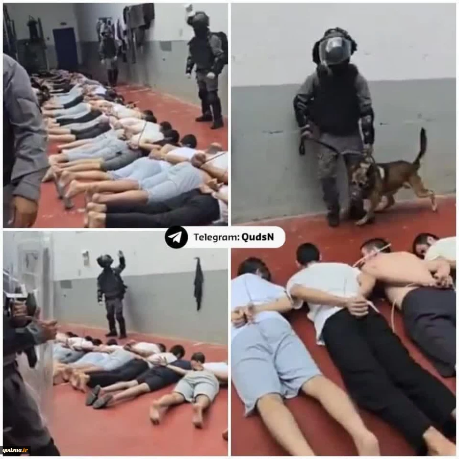 جبهه خلق برای آزادی فلسطین: اقدامات "زندان مجدو" ریشه در ذات نظامیان بزدل صهیونیستی دارد 2