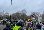 Massive participation in the 22nd national demonstration for Palestine in London