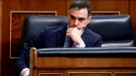 Hundreds of Spanish judges demand Madrid cut ties with Israel and sanction Netanyahu