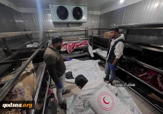 چهارصد و شصتمین روز عملیات طوفان الاقصی؛

شهادت 25 فلسطینی در نوار غزه/استفاده از اسرای فلسطینی به عنوان سپر انسانی در غزه