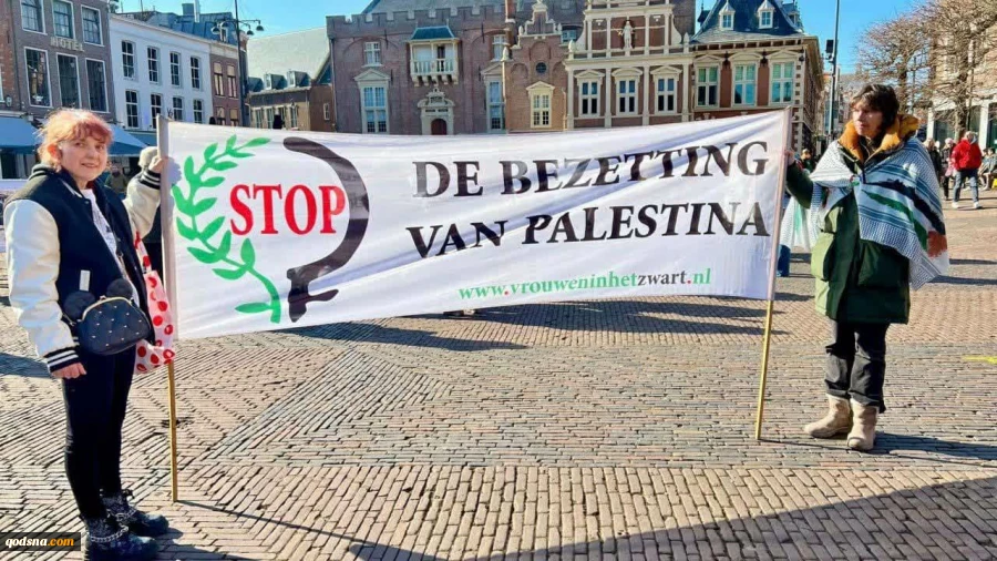 تجمع حامیان فلسطین در شهر هارلم هلند 3