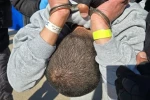 بازداشت اداری و بدون تفهیم اتهام به این معناست که فرد بدون اطلاع از اتهام یا دلیل بازداشت، به دستور مقامات اداری بازداشت می‌شود. این نوع بازداشت در بسیاری از نظام‌های حقوقی، از جمله ایران، غیرقانونی و نقض حقوق بنیادین افراد است