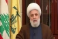 رویکردهای حزب الله در نگاه شیخ نعیم قاسم/ استمرار روند مقاومت به عنوان پروژه آزادی بخش