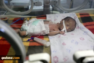 The Silent catastrophe: Al-Barsh reveals Gaza newborns tragedy