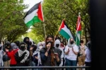 کارت قرمز مراکز علمی غربی به رژیم صهیونیستی
تحریم‌های دانشگاهی و پژوهشی اروپا و آمریکا علیه اسرائیل افزایش چند برابری یافته است 2