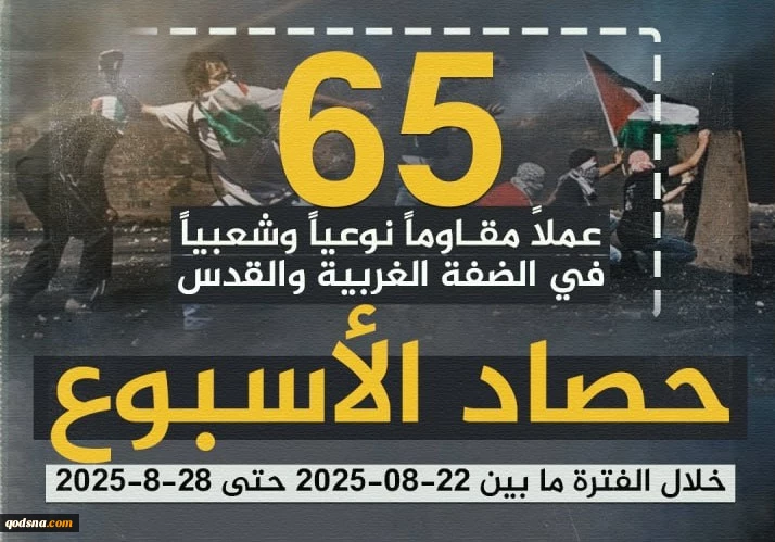 مرکز پژوهشی آماری معطی گزارش داد؛ 

65 عملیات مقاومتی در یک هفته اخیر/ ثبت میانگین بیش از 9 عملیات در هر روز+ نمودار 3