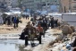 بی‌خانمان شدن بیش از ۵۰ هزار فلسطینی در غزه در کمتر از یک هفته