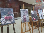 «همایش همبستگی در برابر نقض حقوق بنیادین کودکان؛ از غزه تا تهران» برگزار شد+ تصاویر
 6