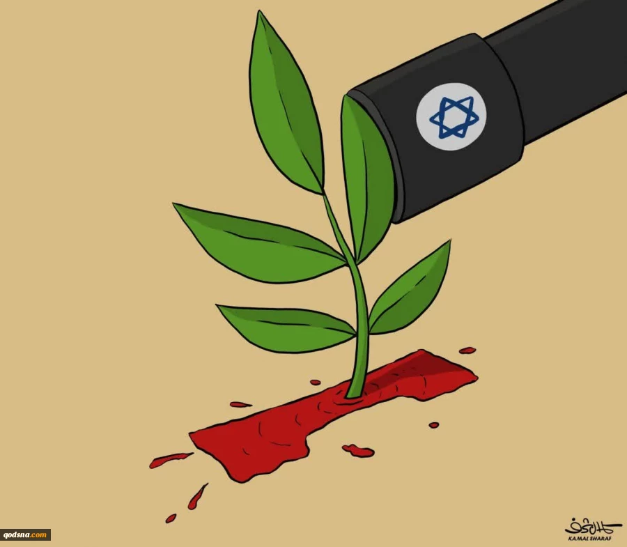 صلح در غزه
 2