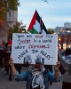 تظاهرات در اوتاوای کانادا  به مناسبت پیروزی استقامت غزه و فلسطین 4