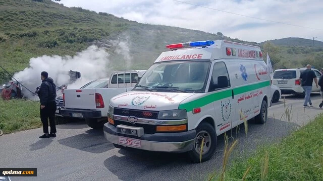 شهادت یک لبنانی در حمله پهپادی رژیم صهیونیستی به جنوب لبنان 2