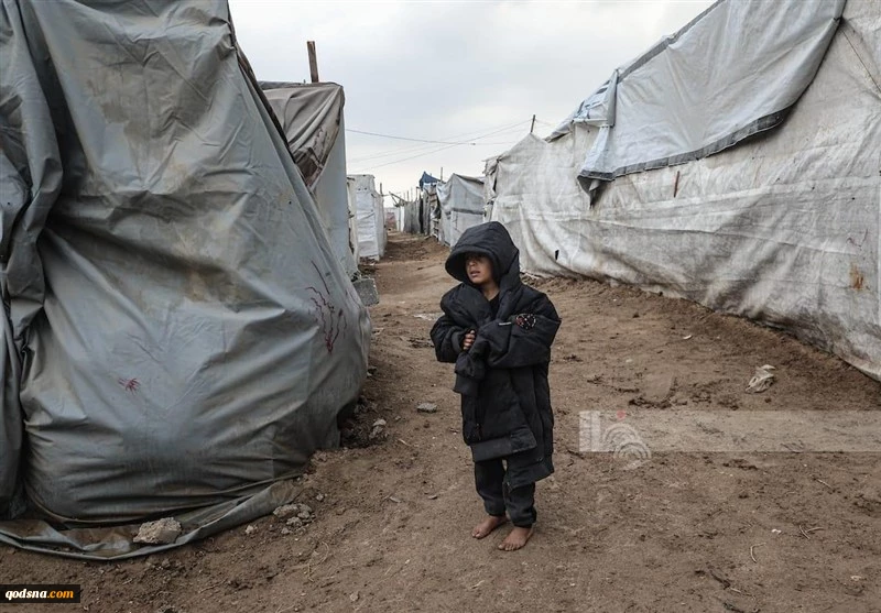 تراژدی آوارگان غزه در شب‌های سرد 5