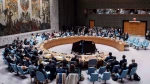 UN Security Council approves US plan for Gaza, Hamas rejects UNSC resolution