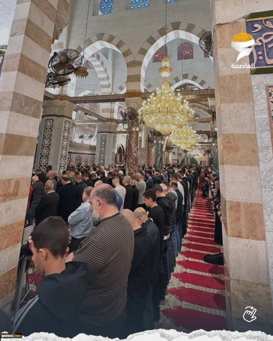 تصاویری از اقامه نماز صبح امروز در مسجد مبارک الاقصی 5