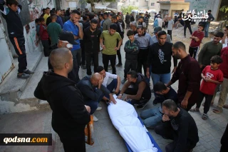 GMO documents 497 Israeli ceasefire violations since October 10