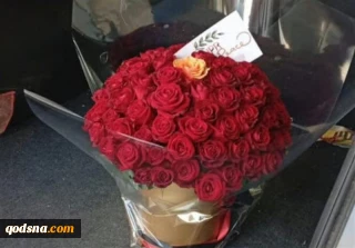 رسانه عبری: جاسوس‌های ایران تا داخل ماشین دانشمند اتمی اسرائیل نفوذ کردند