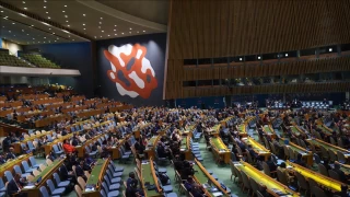UN General Assembly adopts resolution on Palestine
