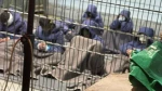 At least 110 Palestinians martyred in Israeli prisons since Ben-Gvir took office