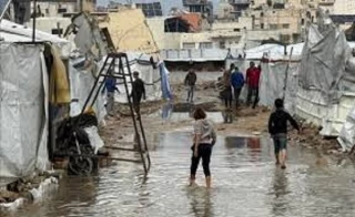 نیاز فوری به چادر در غزه