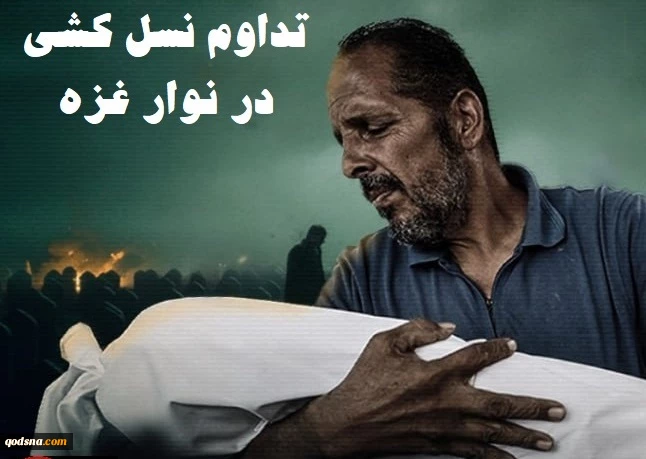 مرکز آماری پژوهشی معطی گزارش داد؛

تداوم چرخه نسل‌کشی در نوار غزه/ شهدا به مرز 71 هزار نفر رسید+ عکس 2