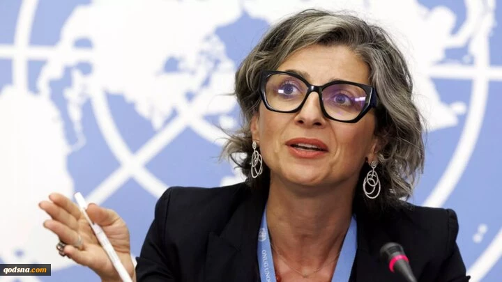 گزارشگر ویژه سازمان ملل: قاهره حامی نسل کشی فلسطینیان است 2