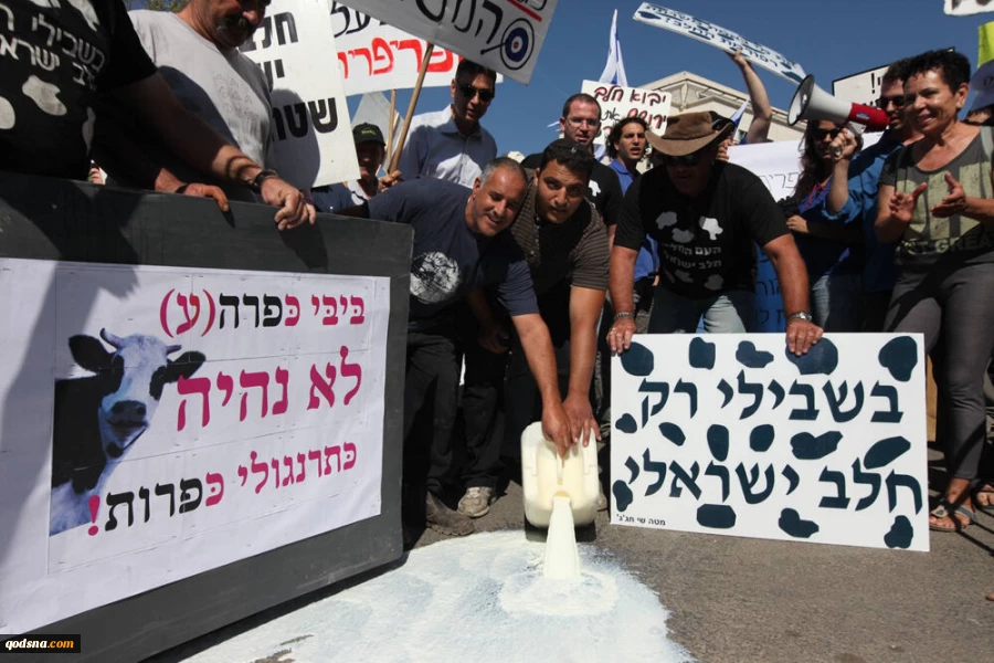 اعتراض دامداران اسرائیلی / بحران لبنیات به خیابان‌ها کشیده شد 2