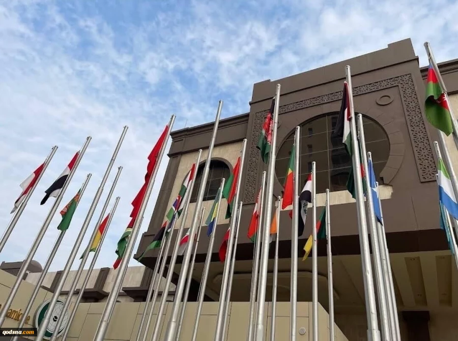 نشست سازمان همکاری اسلامی با موضوع «سومالی لند» 2