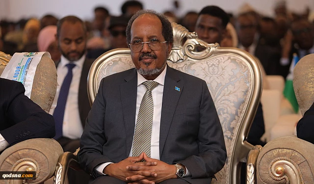 رئيس الصومال: تدخل إسرائيل غير المشروع في سيادتنا تحدٍ لقارة إفريقيا  2