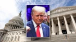 در پی تهدید ترامپ علیه زیرساخت‌های انرژی ایران؛
موج انتقادات در آمریکا؛ ترامپ احمق و در پی نابودی ایالات متحده است 2