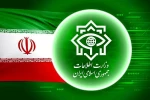 شناسایی و دستگیری ۳۰ نفر از مزدوران صهیون در ۳ استان کشور  2
