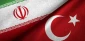 حرکت کاروان خودرویی در ترکیه در حمایت ایران