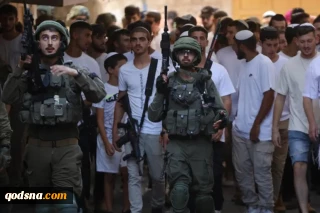 Shadeed: Escalating settler violence in West Bank “organized crimes”