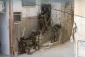آخرین تحولات غزه و کرانه باختری؛

تداوم نقض آتش‌بس در غزه و حملات توپخانه‌ای و تیراندازی ارتش صهیونیستی/ حملات گسترده اشغالگران به کرانه باختری و ادامه بازداشت  فلسطینیان