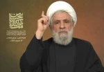 Hezbollah chief