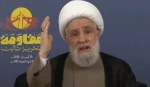 الشيخ قاسم: نزع سلاح المقاومة هو نزع لقدرة لبنان الدفاعية تمهيدًا للإبادة 2