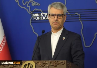الخارجية الإيرانية: اعتداء شرطة هولندا على حامل فلسطينية انتهاك لحقوق الإنسان